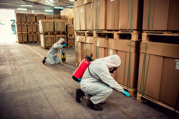Best Pest Control Near Me  in Braidwood, IL