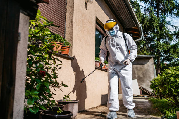 Best Mosquito Control Services  in Braidwood, IL