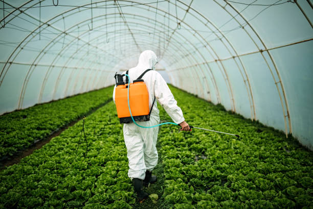 Best Pest Removal Services  in Braidwood, IL