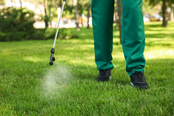 Best Bird Control  in Braidwood, IL