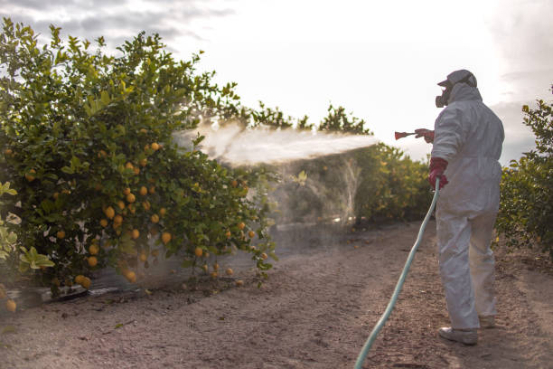 Best Commercial Pest Control Services  in Braidwood, IL