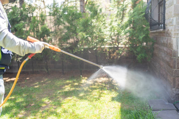 Best Flea Control Services  in Braidwood, IL