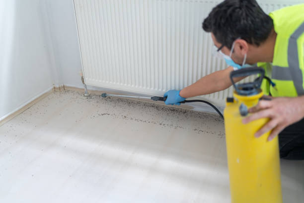 Best Best Pest Control Companies  in Braidwood, IL